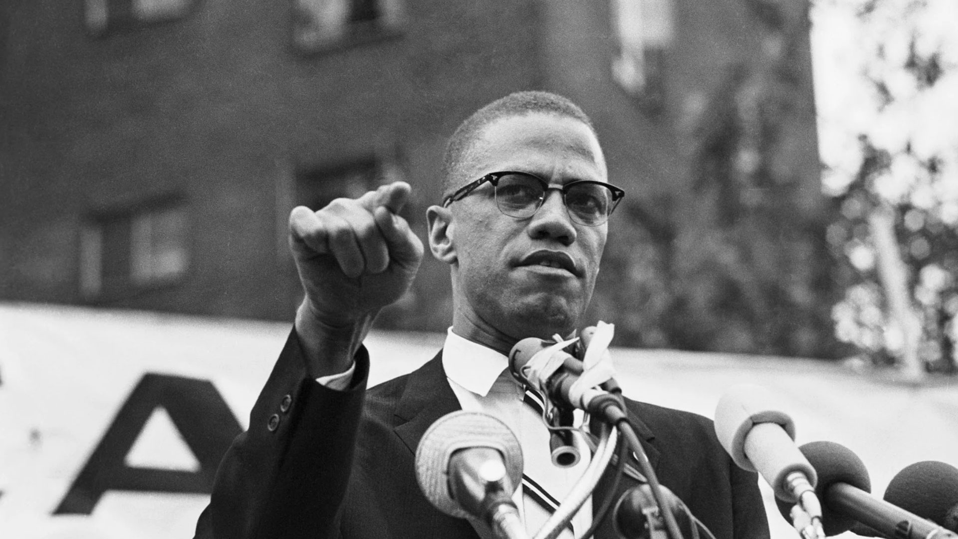 Who Killed Malcolm X?